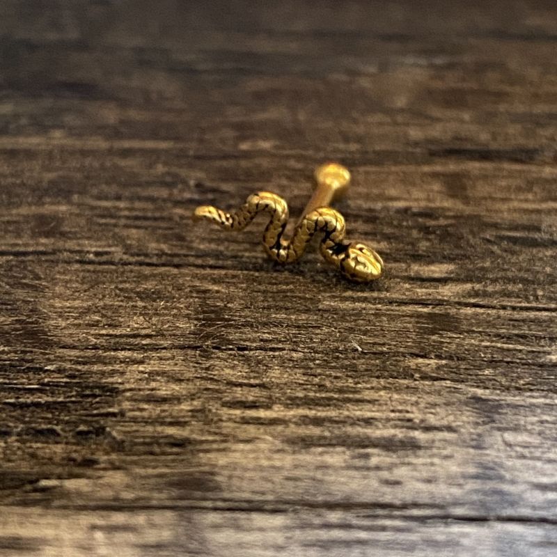 Snake cartilage barbell