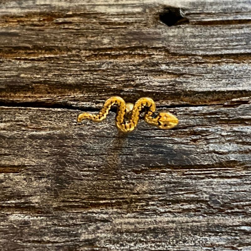 Snake cartilage barbell