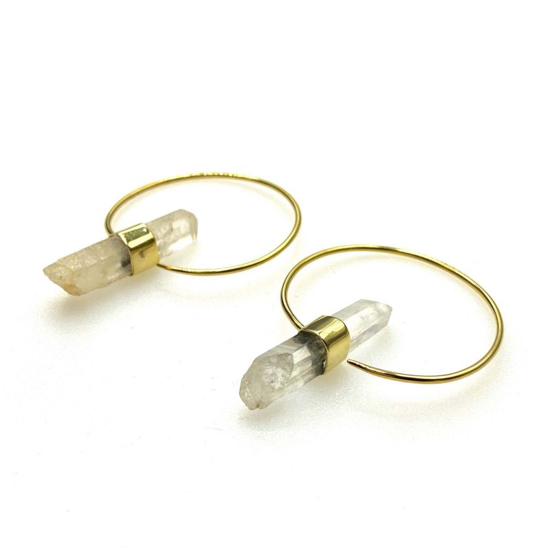Crystal circular hook earrings