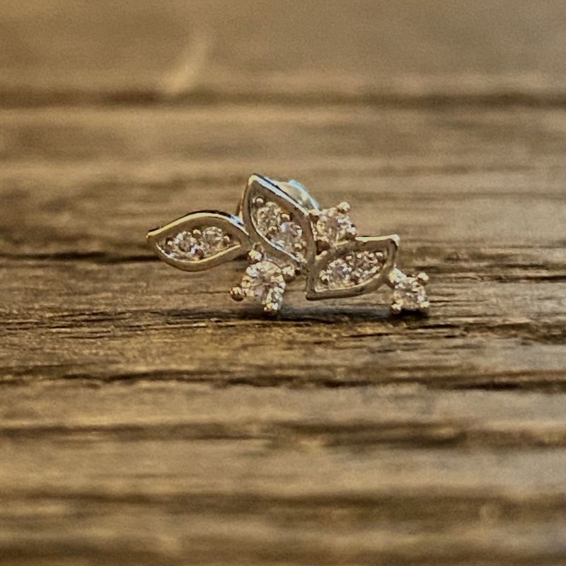 Leaf cartilage barbell