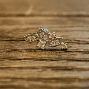 Leaf cartilage barbell