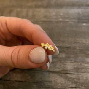 Leaf cartilage barbell