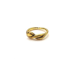 Snake hinged segment ring