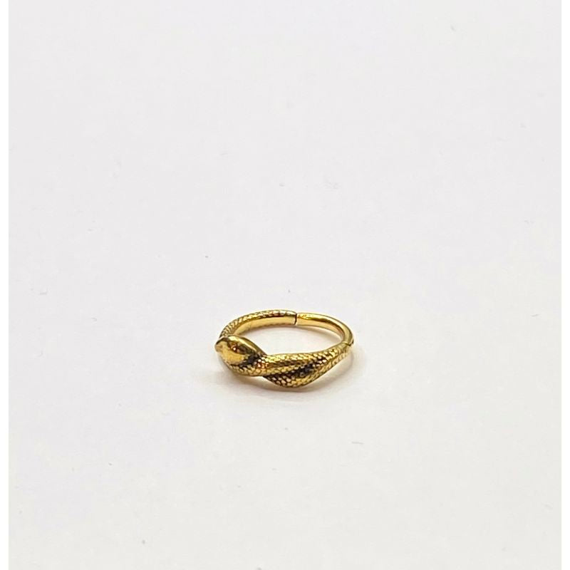 Snake hinged segment ring
