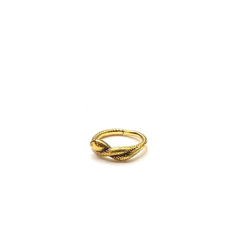 Snake hinged segment ring