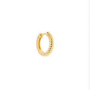 Twisted hoop earring