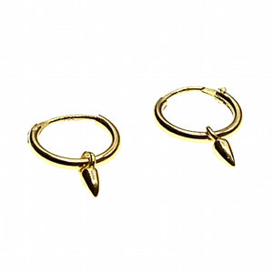 Spike hoops