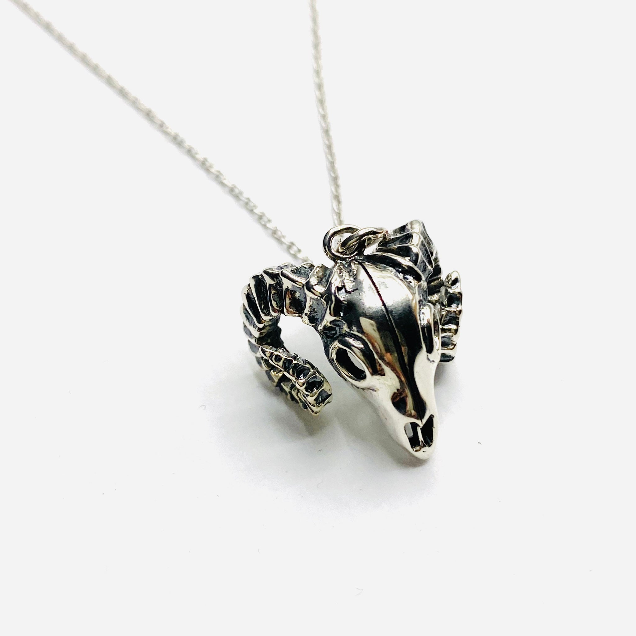 Ramskull necklace