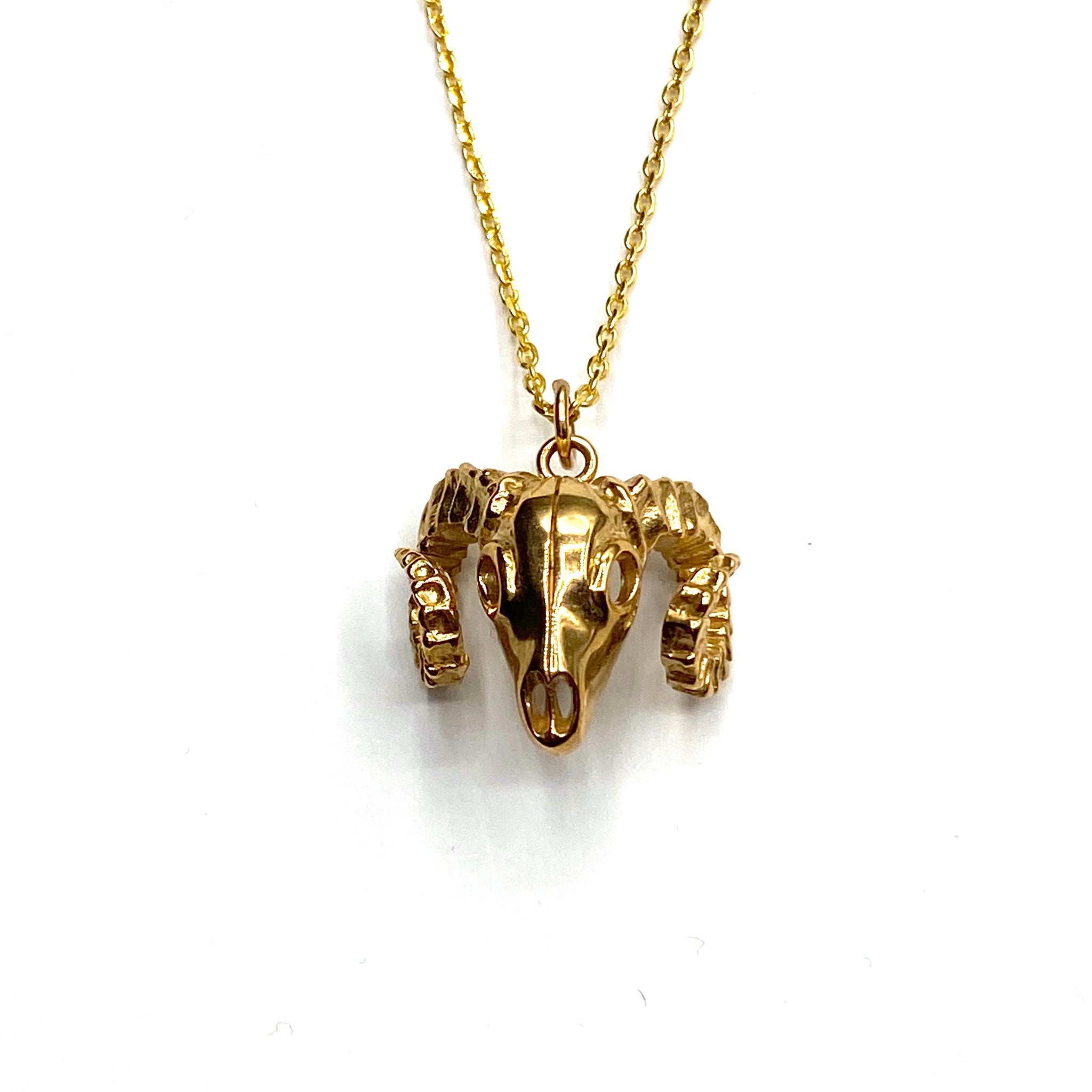 Ramskull necklace