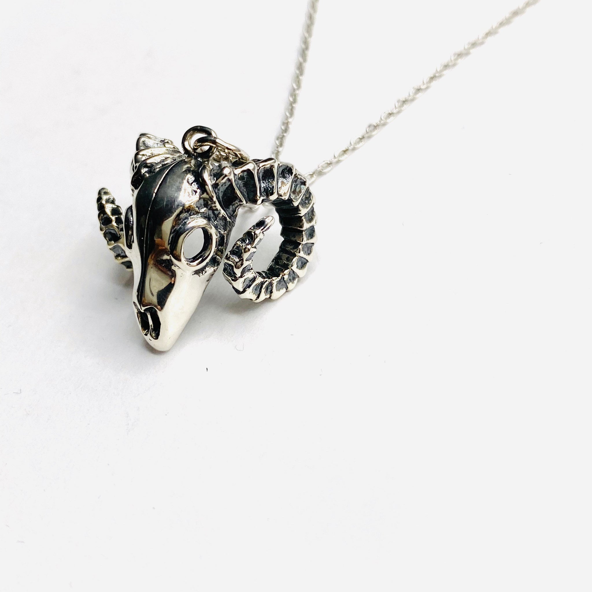 Ramskull necklace