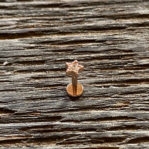 Tiny star labret/ helix/ cartilage