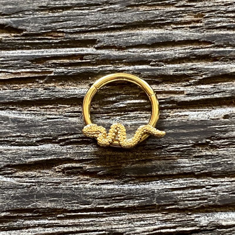 Snake hinged segment ring