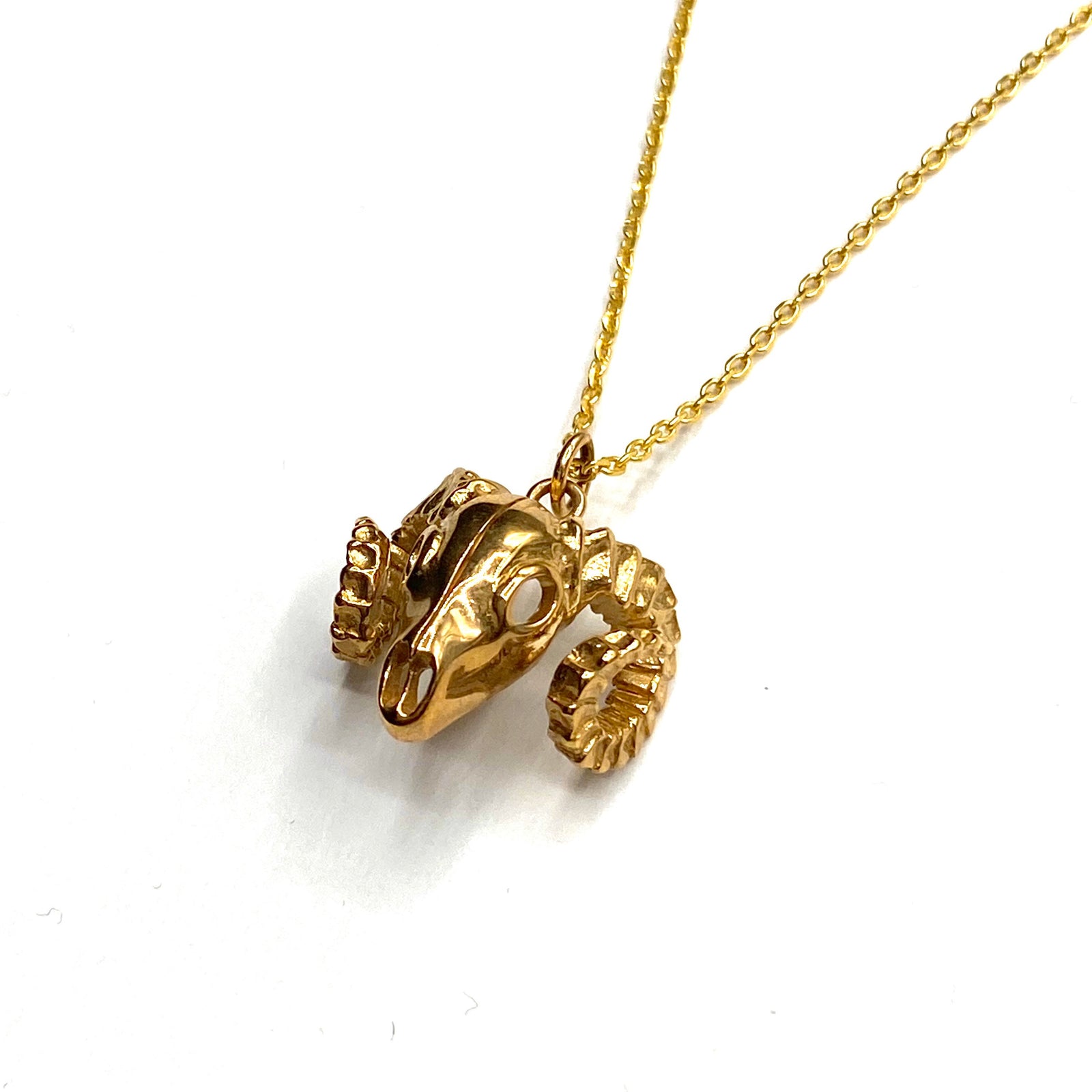 Ramskull necklace